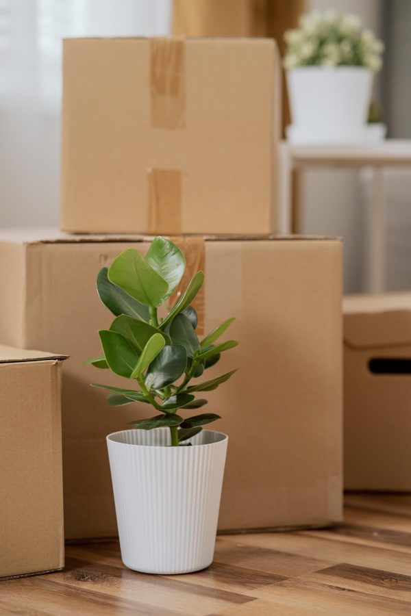 Household Movers in Los Angeles