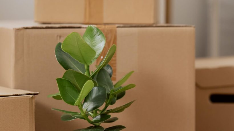 Household Movers in Los Angeles